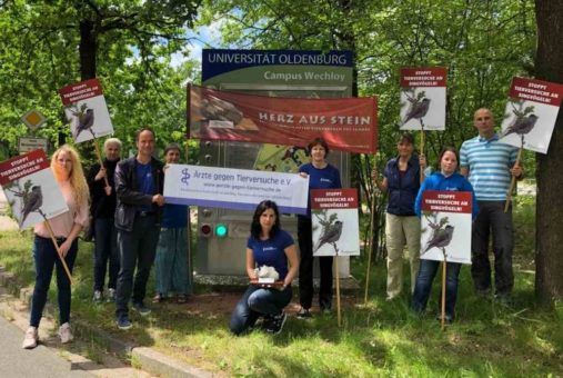 „Herz aus Stein“ für den schlimmsten Tierversuch geht an Uni Oldenburg