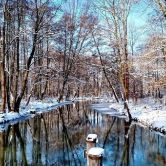 Top-Destination Spreewald bleibt bei der GLC