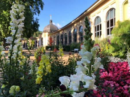 Wandelhalle öffnet wieder
