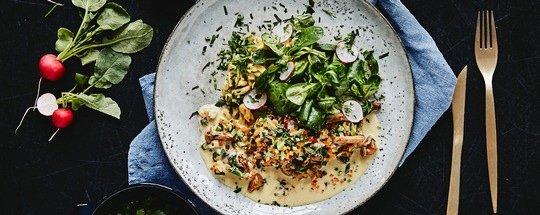 Vegetierisch leckere Aktionen zum Jahresstart