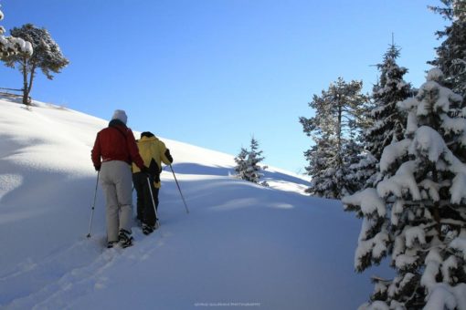 Winter-Special 2022 für Kurzentschlossene: Schneeschuh-Wandern im Kaukasus