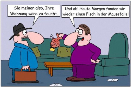 Über den Schimmelpilz sind viele falsche Meinungen im Umlauf. Erfahren Sie mehr über seine Entstehung und sachgemäße Beseitigung.