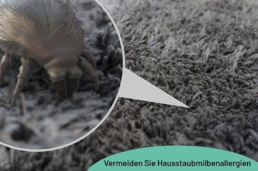 Wie man eine Hausstaubmilbenallergie vermeidet