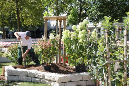 Ausbildungszahlen im bayerischen Garten- und Landschaftsbau steigen weiterhin
