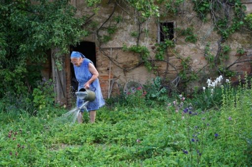„Auf Regen folgt Sonnenschein“ macht das Rennen