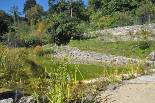 Das Naturparadies und der Naschgarten gewinnen