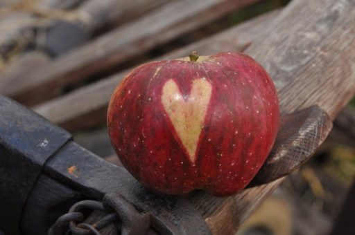 Apfel-Crumble, Bratapfelmarmelade oder Apfelküchle