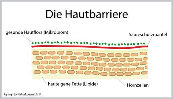 myrto Naturkosmetik – Warum ist eine starke Hautbarriere wichtig ist