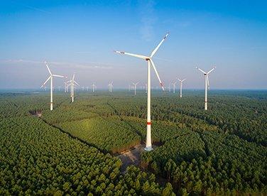 Oberberg/Südwestfalen: GELSENWASSER und VSB wollen Waldwindpark errichten