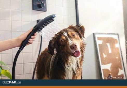 Die Hansgrohe DogShower