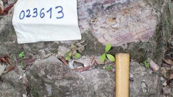 Hannan Metals entdeckt hochkarätige Kufperanomalie!