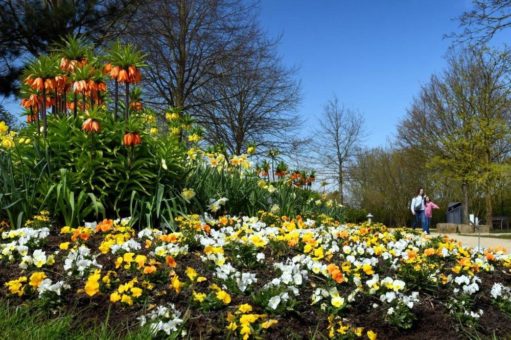 „Deutschlands größte Mustergartenanlage“ blüht auf!