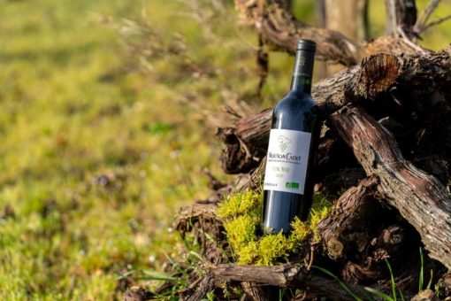 90 Jahre Tradition im Dienst der Zukunft:  Mouton Cadet präsentiert ersten Bio-Wein