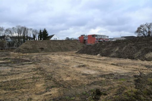Verschiedene Baumfällungen und Rodungsarbeiten