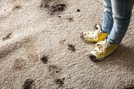 Teppichflecken: Arten, Aussehen, Reinigungstipps
