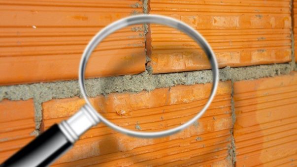 Detektivarbeit gegen den Schimmel