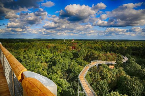 Das Warten hat ein Ende – BAUM & ZEIT in Beelitz-Heilstätten öffnet wieder