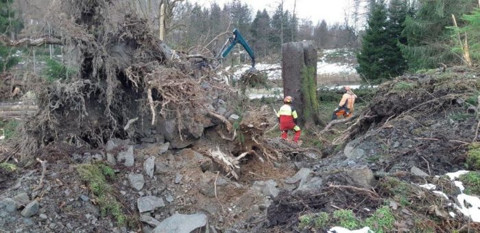 Forstamt Clausthal beseitigt Sturmschäden im Polstertal – Telefonleitung zerstört und Erkenntnisweg gesperrt