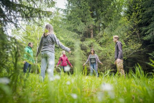 Auftanken im Schoß der Erde, abschalten unterm Blätterdach