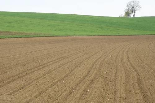 Fruchtfolge ist für Landwirte ein Jahresgeschäft