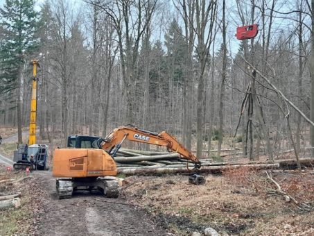 Bodenschonende Holzernte mit Spezialtechnik in der Revierförsterei Mollenfelde