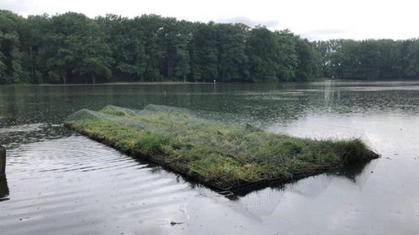Schwimmende Pflanzinseln für den Adenauer Weiher