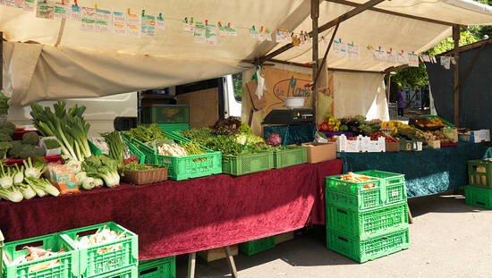 Mit der richtigen Ernährung die Gesundheit fördern
