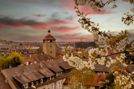 Das Warten hat ein Ende, die öffentlichen Stadtführungen sind zurück!