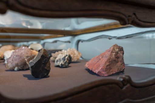 Vom Naturalienkabinett zum modernen Museum: Sonderführung am 20. März