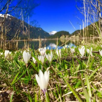 Unberührte Naturlandschaften zum Wandern und Biken im Tannheimer Tal