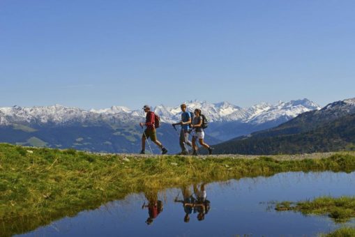 In der Natur erwacht die Lebensenergie wie von allein