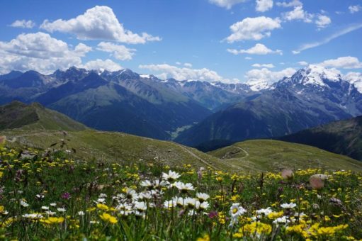 Naturverliebt in den Frühling um den Vinschgerhof