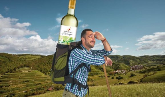 Wein-Frühling“ in der bassgeige-Vinothek erleben
