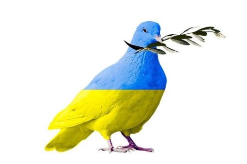 Stellungnahmen der Kirchen zum Krieg in der Ukraine