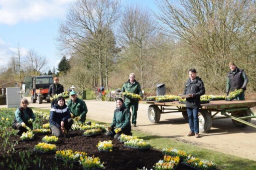 Frühlingsblüher werden jetzt im Park der Gärten gepflanzt.