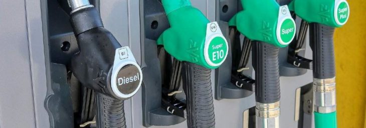 DBV zu ersten Maßnahmen zur Unterstützung der Landwirtschaft