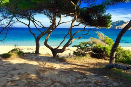 Frühlingsgefühle auf Mallorca: Zehn Tipps für die ersten warmen Tage auf der Baleareninsel