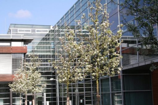 Berufsbegleitend zum MBA-Abschluss