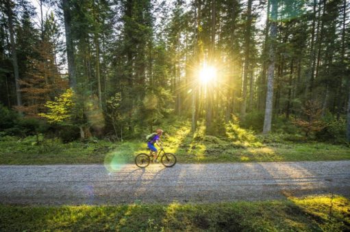 Mountainbike Kurse