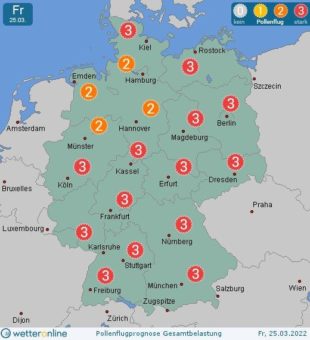 Birkenpollenflug wird stärker