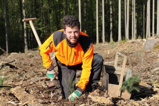 Hessen forstet auf – Mitmachaktionen für unseren Wald