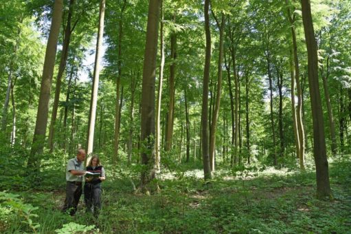 Energieeffizienz dient auch dem Frieden