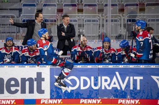 Adler trennen sich von Trainergespann – Stewart übernimmt