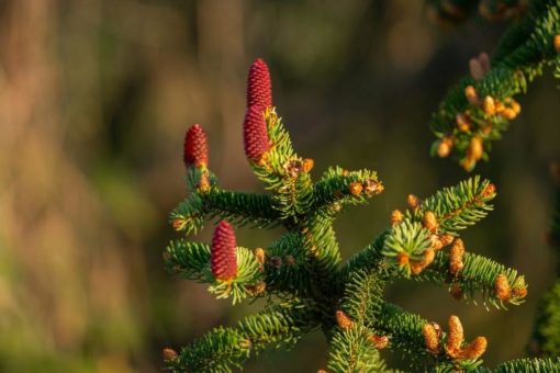 Eltern-Kind-Ferienangebote in den Oster- und Sommerferien