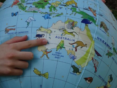 Schüler-Akademie startet im April wieder für junge Tierliebhaber