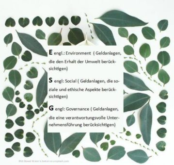 Nachhaltige Geldanlagen- Greift der Verbraucherschutz?