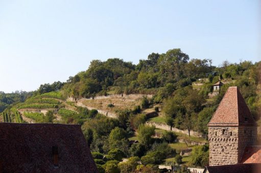 Ein Blick auf die Wandmalereien und Führung durch den Closterweinberg
