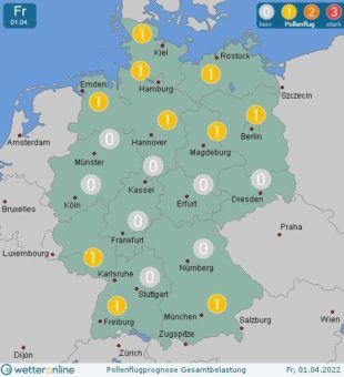 Niederschläge dämpfen Pollenflug