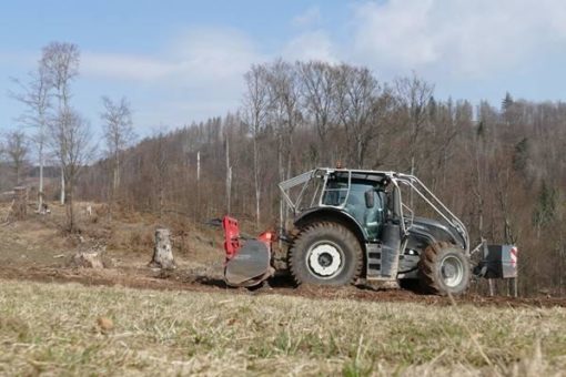 Fichtenforst weicht Wildwiese am Reihersberg
