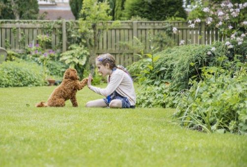 Giftpflanzen im Garten: Was Eltern und Tierhalter wissen müssen